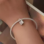 Ezüstcharm, lakat