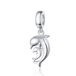 Ezüstcharm, delfin