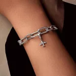 Ezüstcharm, repülőgép